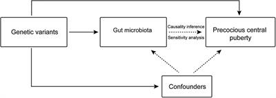 Causal relationship between the composition of the Gut Microbiota and central precocious puberty: a two-sample Mendelian randomization study